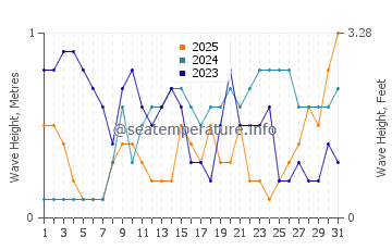Waves height in Wakatobi in January