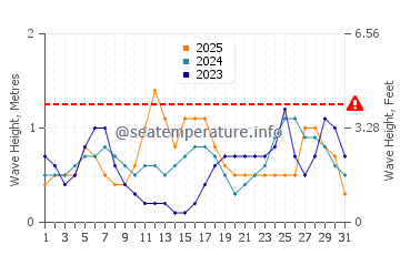 Waves height in Yaring in January
