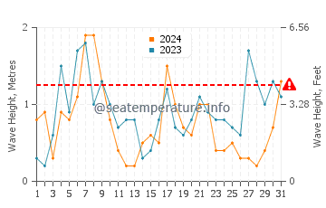 Altezza delle onde Forty Foot a dicembre