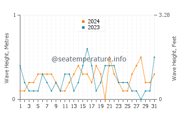 Waves height in Minamata in December
