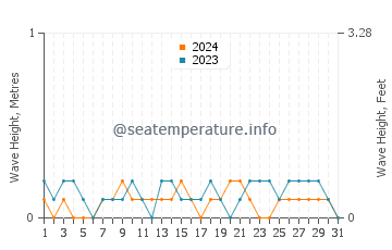 Waves height in Palhi in December