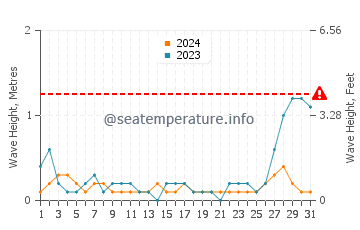 Waves height in Negros in May