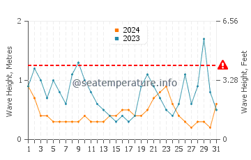 Waves height in Taylors Mistake in May