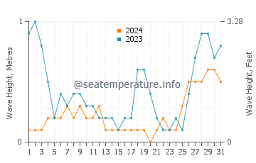 Waves height in Araceli in August