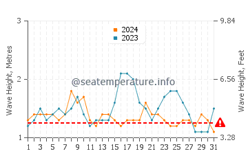 Altura de las olas en Brisas de Zicatela en agosto