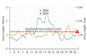 Waves height in First Beach in August