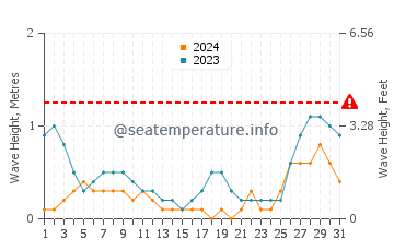 Waves height in Magsaysay in August