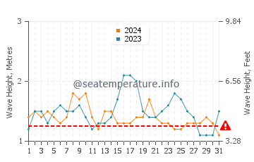 Altura de las olas en Mazunte en agosto
