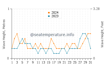 Waves height in Neta in August