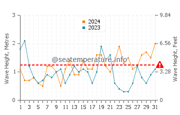 Waves height in Petone in August