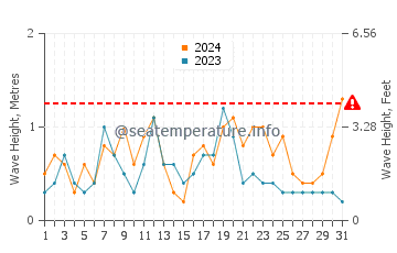 Waves height in Pocitos in August