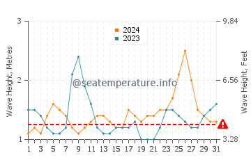 Waves height in Port Allen in August