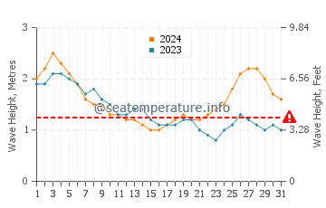 Waves height in Srivardhan in August