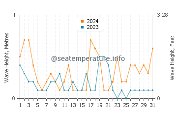 Waves height in Tamaki in August