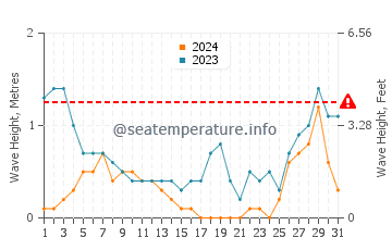 Waves height in Yook in August