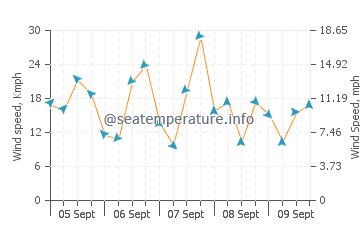 Rose Bay wind speed and direction