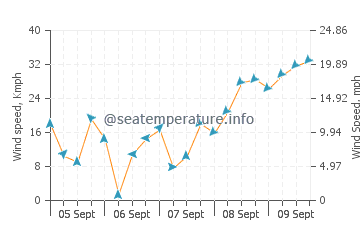 Rose Bay wind speed and direction